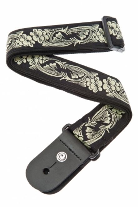 Hovedbilde DADDARIO 50A04 Gitarrem Rainforest