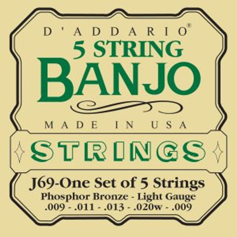 DADDARIO EJ69 Strengesett Banjo