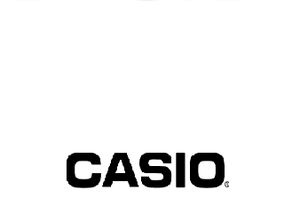 Casio Digitalpiano